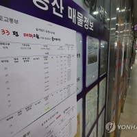 서울시-국토부, 토허제 입주권 실거주 의무 유예 방안 검토