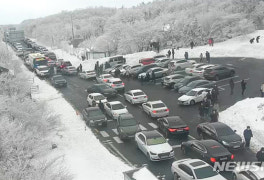 한라산 설경도 좋지만