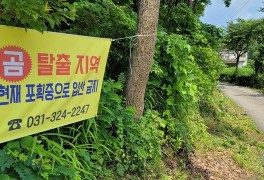 [단독] "누가 케이지 열어 준 흔적 있다"...또 용인서 곰 탈출(종합2보)