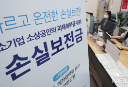'손실보전금' 353만개사에 21.4조…11.4만개사 추가지급