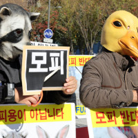 한국동물보호연합, ‘모