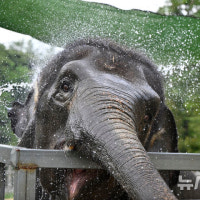 광주·전남, 18일째 폭염특보…온열질환자 누적 262명