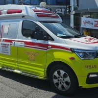 대전소방, 구급차 안에서 새 생명 탄생 도와