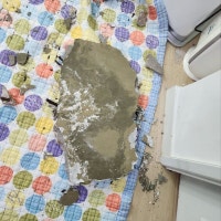 새벽에 천장 무너진 용산구 노후 아파트…주민들 붕괴 우려