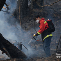 울산 언양 산불 20시간 만에 주불 잡았다…축구장 88개 면적 잿더미(종...