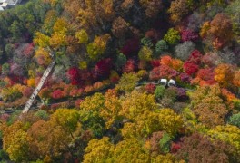 화담숲 ‘가을 단풍축제’ 오는 14일부터 사전예약