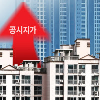 부산 표준지 공시지가 1.84% 상승… 아파트 가격은 하락세
