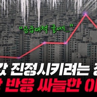 서울 평균 집값 12억 넘었는데 추세적 상승 아니라는 정부…맞는 말일까[부릿...