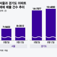 규제 약발 먹혔나?.. 다시 늘어나는 수도권 아파트 매물