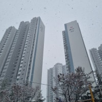 같은 평수로 가는데 5억 내야?…쾌재 부르던 분당, 울상 짓는 이유