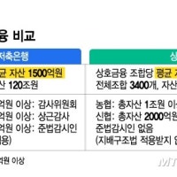 광주조합이 왜 둔촌주공 대출경쟁?…'공룡' 상호금융 개혁한다