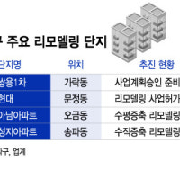 토허제 족쇄 풀고 고공행진 송파 아파트, 리모델링 사업 탄력받나