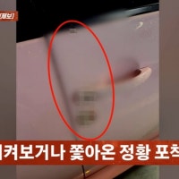 아파트 차량에 '체액 테러' 남성 정체에 경악…
