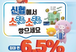 신협, 연 6.5% 플러스정기적금 한정 판매