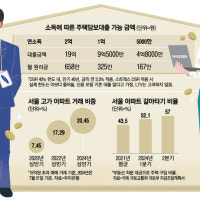 “여보, 15억 대출받아 집 살까”...서울 고가아파트 사들이는 큰손 누구?