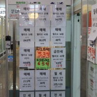 “수혜는 못 받고 날벼락만 맞았다”...구단위 토허제에 억울한 저가 아...