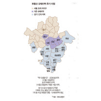 ‘수요봉쇄’한 초강수 10·15 대책 ‘갭투자’ 통로 차단… 숨죽인 시...
