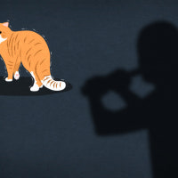 인천 아파트 단지서 고양이 4마리 숨진 채 발견…사체 훼손 흔적도