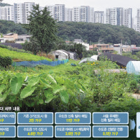 강남 그린벨트 12년만 대폭 해제…재개발·재건축 특례법도 도입