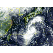 권익위, 태풍發 '민원주의보' 발령