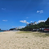 바닷가 아파트 가치 주도... 견소동 해변가 대단지 강릉 아파트에 시선...