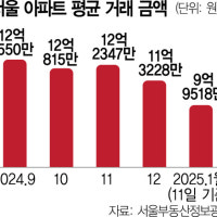 서울 아파트 평균 실거래가 10억 밑으로…강남권도 1억~2억 하락