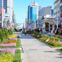 5월 동행축제, 부산서 개막식..지역 연계행사도 병행