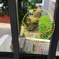 돈뭉치 발견된 울산 아파트 현장 미스터리