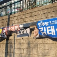 울산서 국민의힘 비판 현수막 찢은 60대 경찰에 붙잡혀