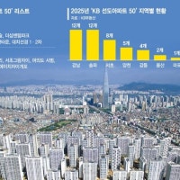 시총 TOP 50 아파트 '강남일색'… 서울도 비강남은 소외 [아파트 양극화...