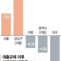 강남 3% 오를때 대구 2% 내렸다... 대출규제의 역설 [부동산 양극화 부른...