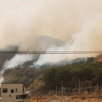 울산 울주군 언양 산불 확산 양상.. 상북면 일대까지 대피령