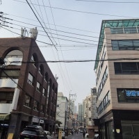 토허제 묶인 강남3구·용산… 조용히 웃는 빌라·단독