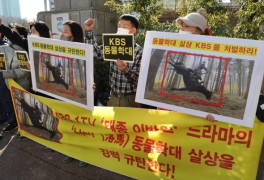 "동물촬영 시 훈련사·수의사 대동"…정부, '태종 이방원 사태' 막는다