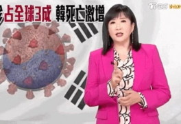 태극기에 코로나 합성한 대만 방송사…"韓 국민들께 사과"