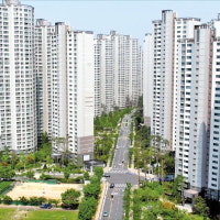 '특단의 조치' 엄포에도 신고가 폭발…