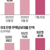 아파트값 오르자 다시 영끌·빚투…주담대, 이달 5.2조원 증가