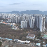 '계엄 폭탄'에 강남 아파트도 '초토화'…한 달 만에 1억 빠졌다