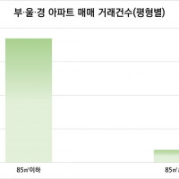 지난해 부·울·경 부동산 시장은 중소형 평형이 주도
