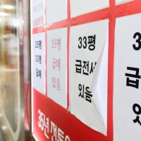 토허제 풀리자 서울 아파트 매매 47% 껑충…7개월 만 반등