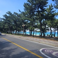 내 집 앞마당처럼 누리자... ‘초(超)바다세권’ 강릉 아파트 ‘오션시...