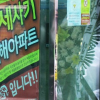 “전세금 못준다구?” 지난해 보증금 돌려받지 못한 세입자 역대 최대