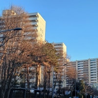 “집이 안팔려 큰일이에요” 서울 아파트 매물 적체, 역대 최대치 [부동...