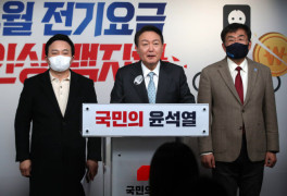 "국민에 타격" 전기요금 동결 공약, 취임 6주만에 포기
