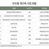 '100억 아파트 시대' 연 반포, 신축 하이엔드 조성으로