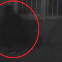 “아파트 1층 조심하세요”…휴가철 불 꺼진 집 노렸다