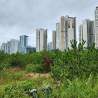 전국 부동산 들떠있는데…인천만 '울상'인 까닭은