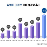 서울 아파트값 뛰자…'준서울' 광명 아파트도 뛴다