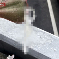 “화분에 피임도구가 걸려 있더라” 아파트 저층 주민의 토로