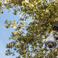 80대 男, 아파트 공원서 아이들 보며 음란행위…CCTV에 딱 걸렸다